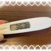 ヒメ日記 2026/03/19 11:57 投稿 アイカ(奥方) 奥様幕府