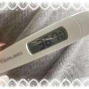 ヒメ日記 2026/04/02 13:27 投稿 アイカ(奥方) 奥様幕府