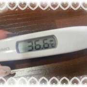 ヒメ日記 2026/04/04 14:27 投稿 アイカ(奥方) 奥様幕府