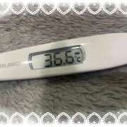 ヒメ日記 2026/04/06 13:47 投稿 アイカ(奥方) 奥様幕府