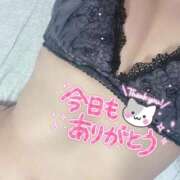 ヒメ日記 2026/05/14 03:40 投稿 アイカ(奥方) 奥様幕府