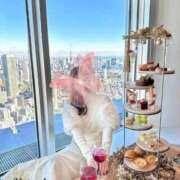 ヒメ日記 2025/10/07 13:03 投稿 望月 那美 東京貴楼館