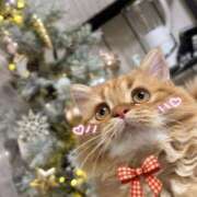 ヒメ日記 2025/11/21 05:19 投稿 ゆず 迷宮の人妻　熊谷・行田発