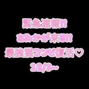 ヒメ日記 2025/12/02 02:09 投稿 ゆず 迷宮の人妻　熊谷・行田発