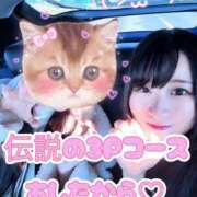 ヒメ日記 2025/12/02 13:39 投稿 ゆず 迷宮の人妻　熊谷・行田発