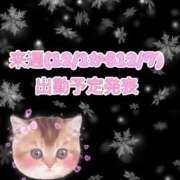 ヒメ日記 2025/11/30 09:49 投稿 ゆず 迷宮の人妻 古河・久喜発