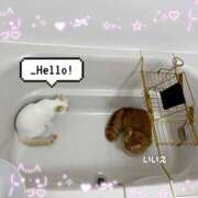 ヒメ日記 2026/01/10 14:39 投稿 ゆず 迷宮の人妻 古河・久喜発