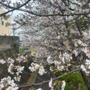 テマリ 13日出勤です🧡 【福岡デリヘル】20代・30代★博多で評判のお店はココです！