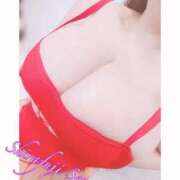 ヒメ日記 2025/10/21 22:21 投稿 白藤 BBW西船橋店