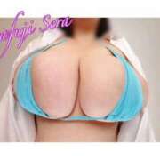 白藤 過去1✨🏆✨ BBW西船橋店