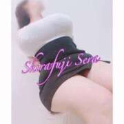 ヒメ日記 2026/02/05 08:01 投稿 白藤 BBW西船橋店