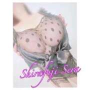 ヒメ日記 2026/02/21 14:46 投稿 白藤 BBW西船橋店