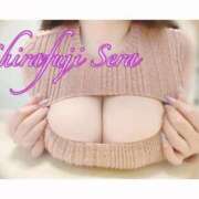 ヒメ日記 2026/03/01 12:15 投稿 白藤 BBW西船橋店