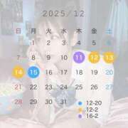 みさ 🩷12月出勤🎄 SEXIS-セクシーズ-