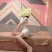 ヒメ日記 2025/12/10 11:30 投稿 渡辺 えま ライオンズクラブ