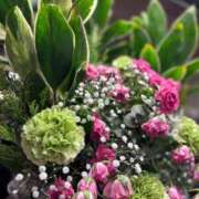 ヒメ日記 2026/04/08 14:30 投稿 渡辺 えま ライオンズクラブ