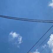 ヒメ日記 2026/05/14 12:27 投稿 渡辺 えま ライオンズクラブ