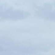 ヒメ日記 2026/05/23 15:51 投稿 渡辺 えま ライオンズクラブ