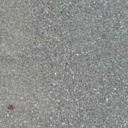 ヒメ日記 2026/06/01 12:33 投稿 渡辺 えま ライオンズクラブ