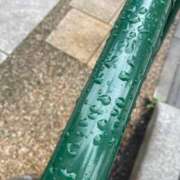 ヒメ日記 2026/06/15 10:52 投稿 渡辺 えま ライオンズクラブ
