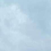 ヒメ日記 2026/06/25 10:48 投稿 渡辺 えま ライオンズクラブ