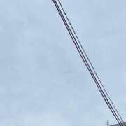 ヒメ日記 2026/07/07 23:46 投稿 渡辺 えま ライオンズクラブ