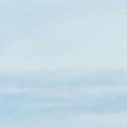 ヒメ日記 2026/07/12 09:56 投稿 渡辺 えま ライオンズクラブ