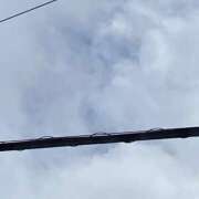 ヒメ日記 2026/08/12 13:01 投稿 渡辺 えま ライオンズクラブ