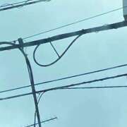 ヒメ日記 2026/08/13 10:36 投稿 渡辺 えま ライオンズクラブ