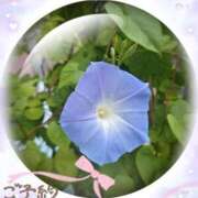 ヒメ日記 2025/10/14 13:10 投稿 レンカ◆SP可◆ Ageha(アゲハ)