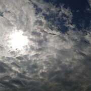 ヒメ日記 2025/10/24 17:01 投稿 レンカ◆SP可◆ Ageha(アゲハ)