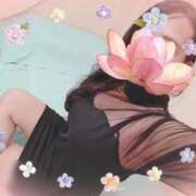 レンカ◆SP可◆ スタートから❣️ Ageha(アゲハ)