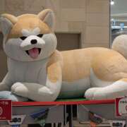 ヒメ日記 2026/01/30 17:25 投稿 響 まいか 千葉Grand Mrs.