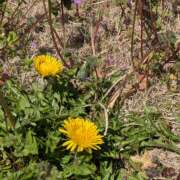 ヒメ日記 2026/03/14 12:58 投稿 響 まいか 千葉Grand Mrs.