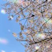 ヒメ日記 2026/04/10 08:44 投稿 かや【元アイドル、恋は初舞台】 どMばすたーず 群馬 高崎店