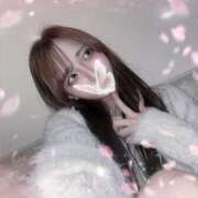 ヒメ日記 2026/04/11 11:53 投稿 かや【元アイドル、恋は初舞台】 どMばすたーず 群馬 高崎店