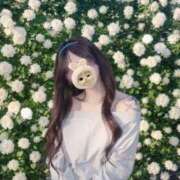 ヒメ日記 2026/06/11 20:00 投稿 かや【元アイドル、恋は初舞台】 どMばすたーず 群馬 高崎店