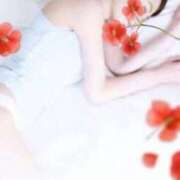 ヒメ日記 2025/10/17 23:48 投稿 つくし 丸妻 横浜本店