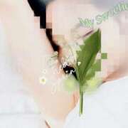 ヒメ日記 2025/11/25 00:25 投稿 つくし 丸妻 横浜本店