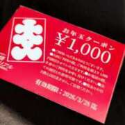 ヒメ日記 2026/01/28 14:48 投稿 かな 奥様メモリアル