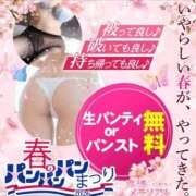 ヒメ日記 2026/03/08 09:48 投稿 かな 奥様メモリアル