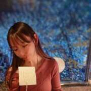 ヒメ日記 2025/12/14 12:31 投稿 まこと ルピナス