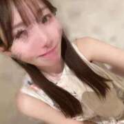 ヒメ日記 2026/01/13 20:24 投稿 まこと ルピナス