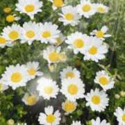 ヒメ日記 2025/10/22 17:58 投稿 赤神伶花 五十路マダム 徳島店