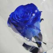 ヒメ日記 2025/11/05 17:46 投稿 赤神伶花 五十路マダム 徳島店