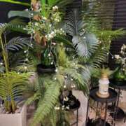 ヒメ日記 2025/11/25 18:32 投稿 赤神伶花 五十路マダム 徳島店