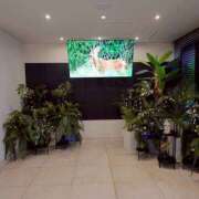 ヒメ日記 2025/12/02 17:54 投稿 赤神伶花 五十路マダム 徳島店