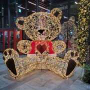 赤神伶花 ごめんなさい。 五十路マダム 徳島店