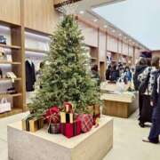 ヒメ日記 2025/12/19 17:26 投稿 赤神伶花 五十路マダム 徳島店