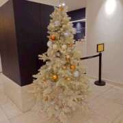 ヒメ日記 2025/12/19 18:10 投稿 赤神伶花 五十路マダム 徳島店